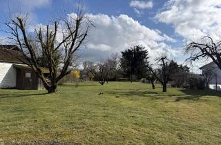 Einfamilienhaus kaufen in 94360 Mitterfels, Einzigartige Lage in Mitterfels - Einfamilienhaus mit über 2500 m² Grundstück