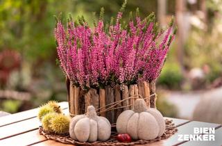 Haus kaufen in 56357 Lipporn, -"Gestaltet euer Familienglück von Anfang an"