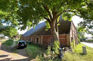 Haus kaufen in 23936 Roggenstorf, +++ PREISREDUZIERUNG! +++ Denkmalgeschützte Scheune mit Nebengebäude im Klützer Winkel
