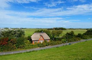 Haus kaufen in 25881 Westerhever, Top Reetdachhaus unterm Nordseedeich in Westerhever