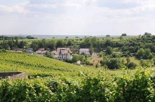 Haus mieten in 65343 Eltville, Family-friendly: Semidetached house with a beautiful view to the vineyards