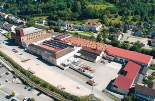 Gewerbeimmobilie mieten in Wiesenstraße 13, 79669 Zell, Produktion & Lagerflächen in Zell - direkt an der S6