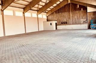 Gewerbeimmobilie mieten in 89269 Vöhringen, Aussergewöhliche Kaltlagerhalle mit perfekter Anbindung und vielseitigen Nutzungsmöglichkeiten