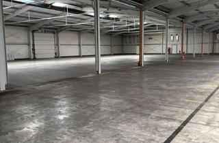 Gewerbeimmobilie mieten in 85117 Eitensheim, Supermoderne Halle im Gewerbegebiet Eitensheim