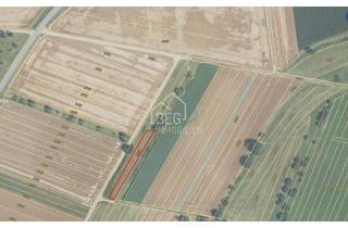 Grundstück zu kaufen in 71672 Marbach, Zwei separate Grünflächen mit insgesamt ca. 1.219 m² in Marbach