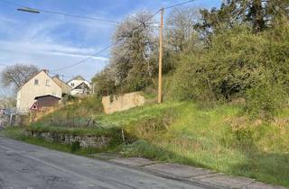 Grundstück zu kaufen in Hauptstr. 37A, 54636 Sülm, Es ist ein Schmuckstück.