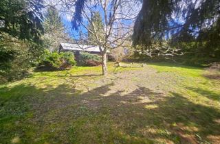 Grundstück zu kaufen in 04668 Grimma, Grimma OT Golzern- Grundstück für Individuell planbares Haus im idyllischen Muldental !!!