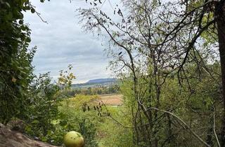 Grundstück zu kaufen in Uhingen Schliff- Ebersbach Strut, 73066 Uhingen, Exklusives Wochenend- Freizeitgrundstück in sonniger Lage mit schönem neuen Haus