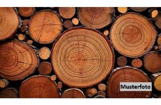 Grundstück zu kaufen in Finsterwalder Chaussee, 03253 Doberlug-Kirchhain, Landwirtschaftsflächen mit alter Doppelgarage