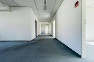 Büro zu mieten in 38226 Lebenstedt, Bürofläche mit Empfangsbereich und klarer Raumaufteilung - Innenstadt von Salzgitter Lebenstedt