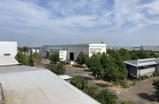 Büro zu mieten in Ulmenweg 14, 39288 Burg, große Bürofläche mitten im Gewerbegebiet