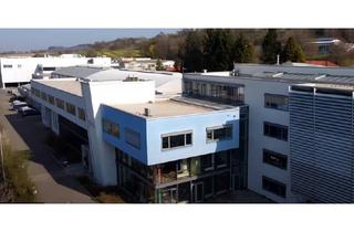 Immobilie kaufen in 88697 Bermatingen, Büro / Light-Industrial im Grenzgebiet zur Schweiz
