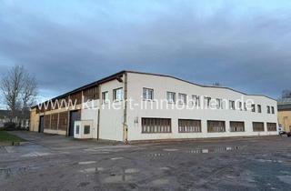 Lager kaufen in 06118 Halle, 1.5 ha Gewerbliegenschaft (teilweise vermietet) mit 6.710 m² Nutzfläche in Halle-Trotha zu verkaufen