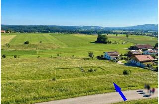 Gewerbeimmobilie kaufen in 82386 Oberhausen, Alpenblick & Perspektive: Bereits parzelliertes Freizeit- und Spekulationsgrundstück in Oberhausen