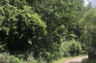 Gewerbeimmobilie kaufen in Nahe A6 Bei Mausendorf ohne Nr., 91564 Neuendettelsau, Auktion - Zwei forstwirtschaftliche Grundstücke bei Neuendettelsau an der A6