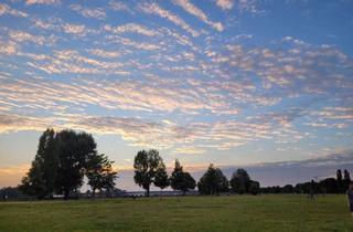 Wohnung mieten in Daimlerstraße 26, 41462 Neuss, !!!1600/47201/59 mit Aufzug nach oben - "2-Z.-Whg. im 9.OG in Neuss!!!