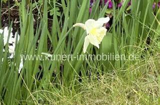 Anlageobjekt in Gerbstedter Landstr 44, 06347 Gerbstedt, Große, bezugsfreie Eigentumswohnung (Renovierungsbedarf) mit zusätzlicher Wohneinheit in Friedeburg