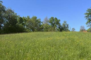 Grundstück zu kaufen in Krottenkopfweg, 82418 Murnau, Kapitalanlage in Murnau