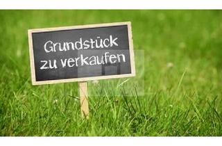 Grundstück zu kaufen in 03159 Döbern, Grundstück in Döbern zu verkaufen