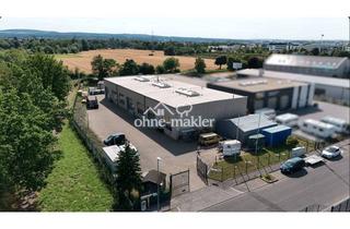 Büro zu mieten in Boschstrasse 12, 53359 Rheinbach, 2 Gewerbehallen mit Büro- und Sozialflächen in verkehrsgünstiger Lage