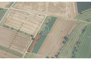 Immobilie kaufen in 71672 Marbach, Zwei separate Grünflächen mit insgesamt ca. 1.219 m² in Marbach