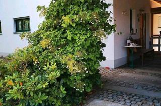 Haus kaufen in 94269 Rinchnach, Rinchnach - Traumhaus mit Traumgarten zu verkaufen