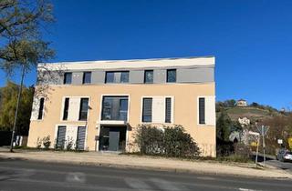 Wohnung kaufen in 01445 Radebeul, Radebeul - Exklusive 4-Zimmer Neubau-Wohnung mit 113 m² in Radebeul - Erstbe