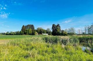 Haus kaufen in 88090 Immenstaad, Immenstaad am Bodensee - Haus mit Grundstück in mitten Natur, nähe Bodensee am Weiher