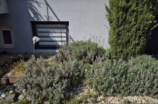 Wohnung mieten in Jahnstraße, 76833 Walsheim, 2-Zimmer Wohnung in Walsheim mit 56 m² Wohnfläche