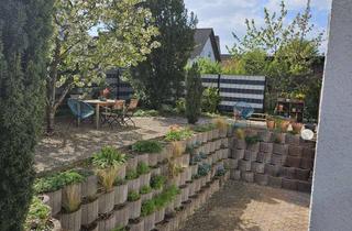 Wohnung mieten in 64404 Bickenbach, Gepflegte und helle 1-Zimmer-Souterrainwohnung mit Terrasse und neuer Einbauküche in Bickenbach