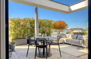 Penthouse mieten in 69514 Laudenbach, Modernes Penthouse mit Terrasse, Einbauküche & Klimaanlage in Laudenbach