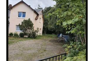 Wohnung mieten in Kastanienallee, 24888 Steinfeld, Jupp Leroy, Christa Teebken