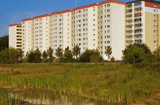 Wohnung mieten in Zingster Str. 68, 13051 Neu-Hohenschönhausen, Hell geschnittene Wohnung für eine Familie