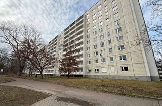 Wohnung mieten in Richard-Paulick-Str. 18, 06124 Südliche Neustadt, Gemütliches Appartement zum kleinen Preis – Kautionsfrei!