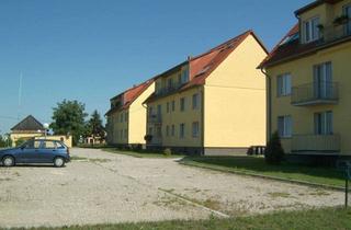 Wohnung mieten in Havelstraße 10, 14550 Groß Kreutz, 2-Raum Wohnung in Groß Kreutz, Erstbezug nach einer Renovierung, Erdgeschoss