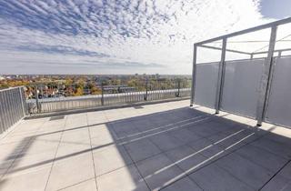 Wohnung mieten in Leipziger Straße 12, 03048 Ströbitz, Maisonettewhg. mit Dachterrasse - Erstbezug nach umfangreicher Sanierung!