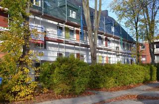 Wohnung mieten in Immenweg 15, 38518 Gifhorn, Gemütliche 1- Zimmerwohnung in Gifhorn