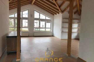 Wohnung mieten in 93342 Saal, ***Große helle offene Wohnung in Saal an der Donau!***