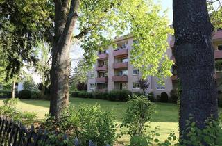 Wohnung mieten in Albert-Lortzing-Straße, 64807 Dieburg, Moderne 4-Zimmer-Wohnung in Dieburg - jetzt bewerben !