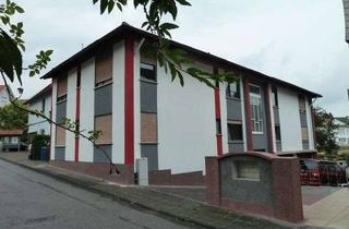 Mehrfamilienhaus kaufen in 64720 Michelstadt, gut vermietetes, gepflegtes Mehrfamilienhaus