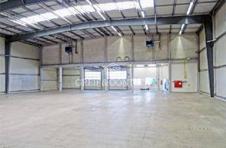 Büro zu mieten in 53842 Troisdorf, Funktionale Hallen- und Bürofläche | Sofort verfügbar | Vielzahl an Rampen | Greif & Contzen