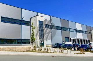 Büro zu mieten in 63452 Hanau, KEINE PROVISION ✓ NEUBAU ✓ WGK 3 ✓ Lager-/Logistik (2.600 m²) & Büro-/Mezzanine (500 m²)