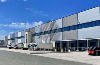 Büro zu mieten in 63452 Hanau, KEINE PROVISION ✓ NEUBAU ✓ WGK 3 ✓ Lager-/Logistik (5.100 m²) & Büro (500 m²)
