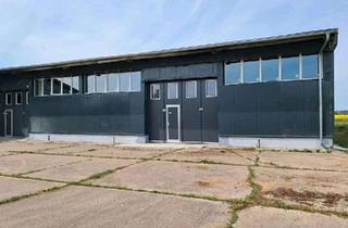 Gewerbeimmobilie mieten in Am Bahnhof 5c, 16269 Wriezen, Lager Halle zu vermieten Postleizahl 16269