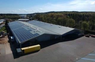 Gewerbeimmobilie mieten in Alte Römerstraße, 56154 Boppard, Logistik- und Umschlaghalle an der A61: 1.000–11.000 m² - Provisionsfrei