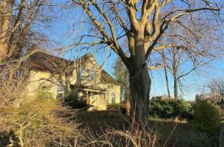 Grundstück zu kaufen in Dorfstr. 60, 25371 Seestermühe, Großes Baugrundstück (2.500 m²) in idyllischer Dorflage in Seestermühe: Abriss geneh