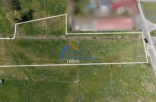 Grundstück zu kaufen in 15834 Rangsdorf, Großzügiges Grundstück mit Entwicklungspotenzial in Groß Machnow