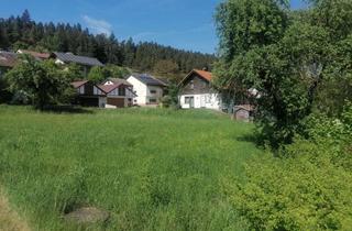 Grundstück zu kaufen in 78661 Dietingen, Bauplatz Dietingen-Rotenzimmern zu verkaufen