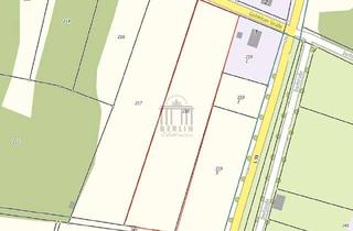 Grundstück zu kaufen in 03205 Bronkow, Riesiges Grundstück für Ihren Traum