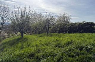 Grundstück zu kaufen in 73728 Esslingen, ** Gartengrundstück in Esslingen am Neckar zu verkaufen!!! * 649 qm * frei ab sofort! **